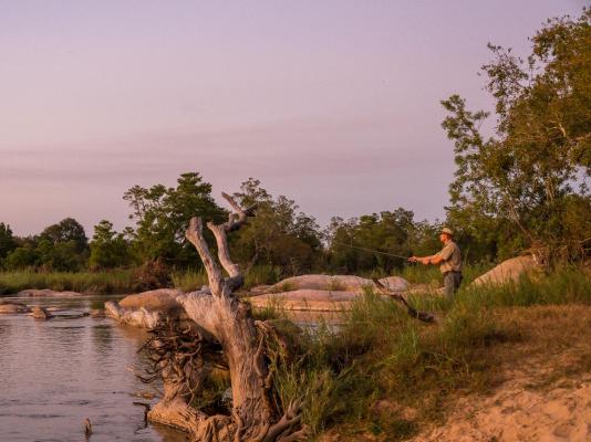 Inyati Game Lodge - 278508