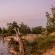 Inyati Game Lodge - 278508