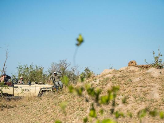 Inyati Game Lodge - 278515
