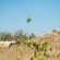 Inyati Game Lodge - 278515