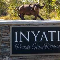 Inyati Game Lodge - 278518