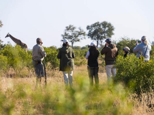 Inyati Game Lodge - 278520