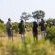 Inyati Game Lodge - 278520