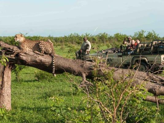 Inyati Game Lodge - 278521
