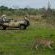 Inyati Game Lodge - 278522