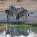 Inyati Game Lodge - 278527
