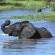 Inyati Game Lodge - 278531