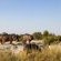 Inyati Game Lodge - 278533