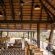 Inyati Game Lodge - 278549