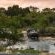 Inyati Game Lodge - 278555