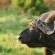 Inyati Game Lodge - 278557
