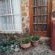 Gemsbok Cottage - 278573