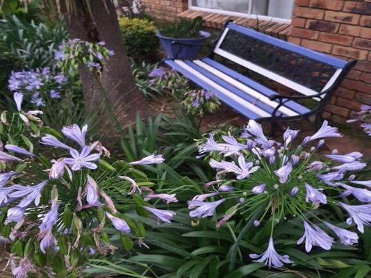 Gemsbok Cottage - 278574