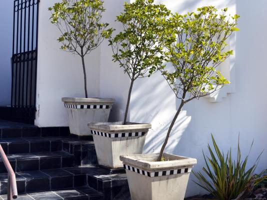 96 On Bree Guesthouse - 278648