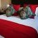 96 On Bree Guesthouse - 278664