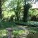 Apple Lodge B&B - 278814