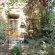 Apple Lodge B&B - 278815