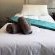 Barons Palace Hotel - 278972