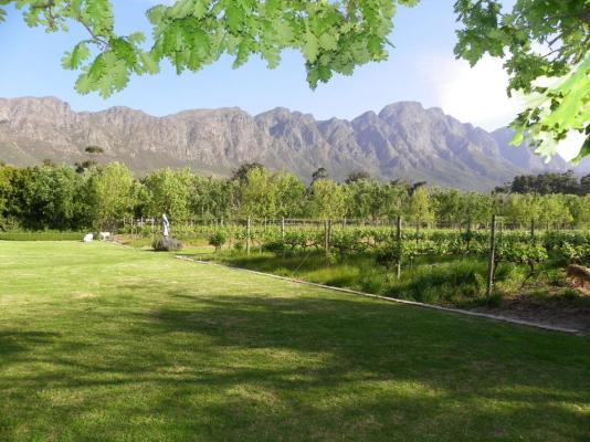Rose Cottages - Franschhoek - 278975