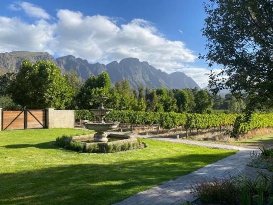 Rose Cottages - Franschhoek - 278976