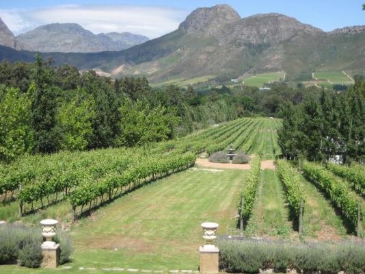 Rose Cottages - Franschhoek - 278979