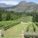Rose Cottages - Franschhoek - 278979