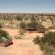 Dreghorn Kalahari Game Farm - Property / Building
