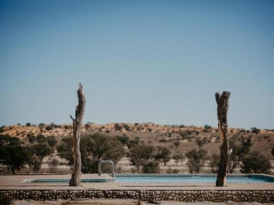 Dreghorn Kalahari Game Farm - Swimming pool