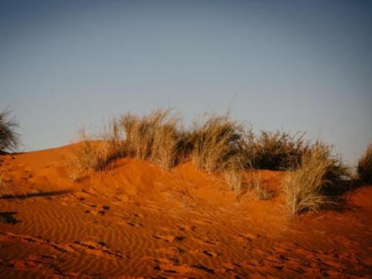 Dreghorn Kalahari Game Farm - Natural landscape