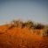 Dreghorn Kalahari Game Farm - Natural landscape