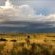 Dreghorn Kalahari Game Farm - Natural landscape