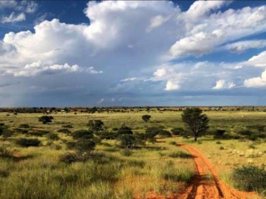 Dreghorn Kalahari Game Farm - Natural landscape