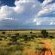 Dreghorn Kalahari Game Farm - Natural landscape