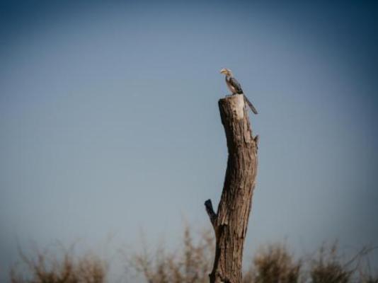 Dreghorn Kalahari Game Farm - Natural landscape