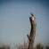 Dreghorn Kalahari Game Farm - Natural landscape