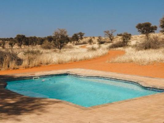 Dreghorn Kalahari Game Farm - Pool view