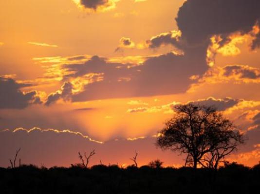 Grace of Africa - Neighbourhood