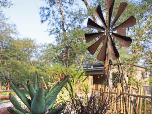 Grace of Africa - Garden
