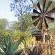 Grace of Africa - Garden