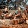 Grace of Africa - Property / Building