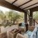 Grace of Africa - 279175