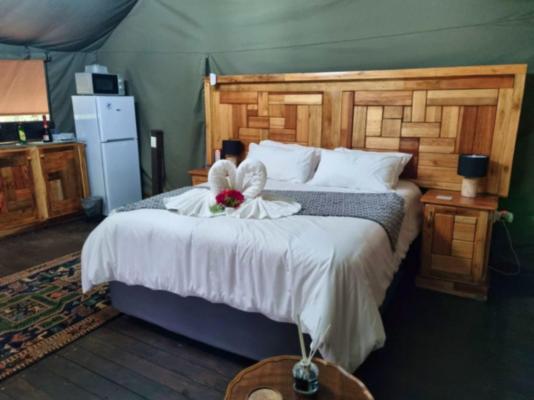Lords and Ladies Bush Lodge - 279204
