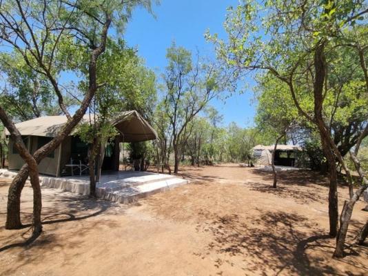 Lords and Ladies Bush Lodge - 279212