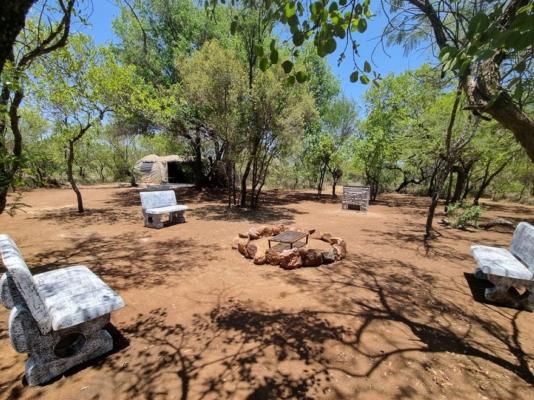Lords and Ladies Bush Lodge - 279213