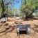 Lords and Ladies Bush Lodge - 279214