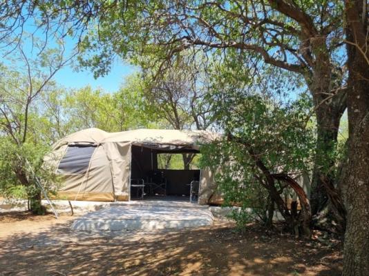 Lords and Ladies Bush Lodge - 279215