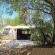 Lords and Ladies Bush Lodge - 279215