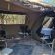 Lords and Ladies Bush Lodge - 279216