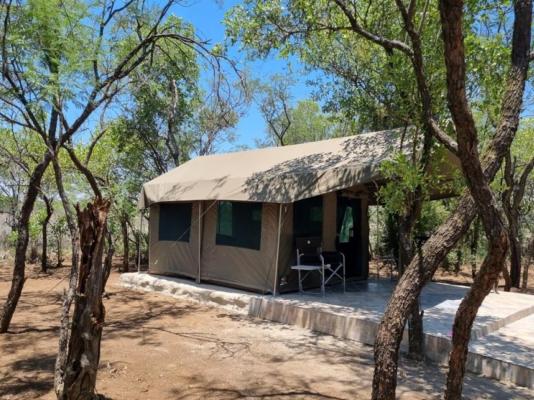 Lords and Ladies Bush Lodge - 279218
