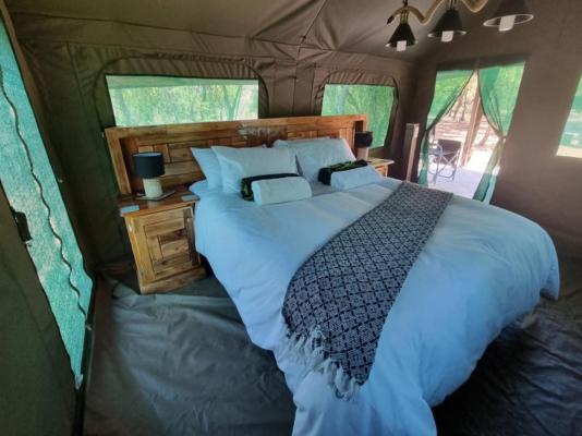 Lords and Ladies Bush Lodge - 279219